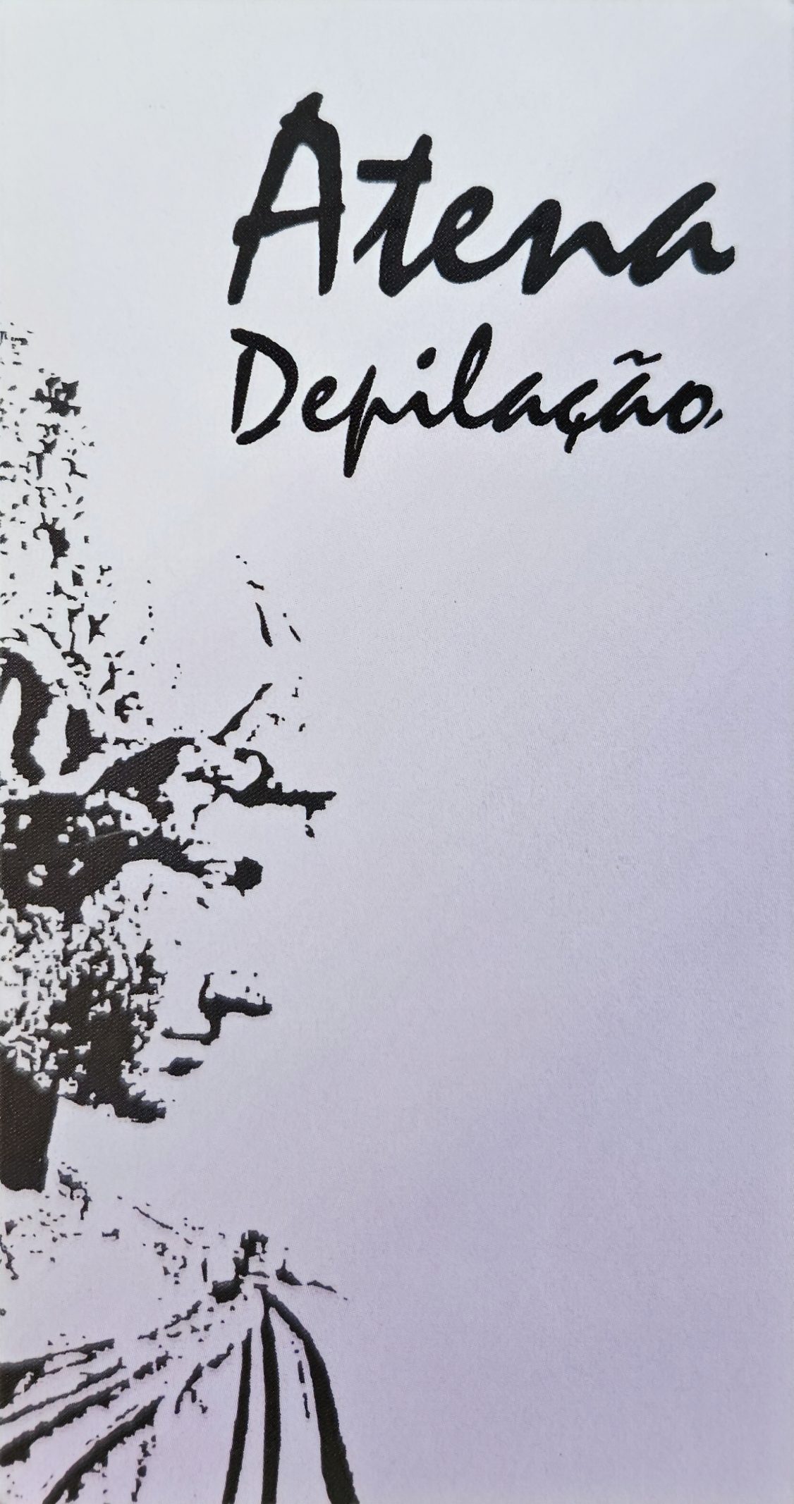 Primeira id visual